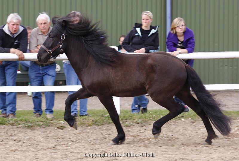 Noah von Heidmoor.jpg